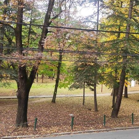 דירות ארנדלובאץ' Centar_Park מראה חיצוני תמונה